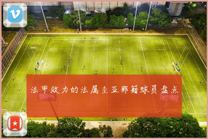 法甲效力的法属圭亚那籍球员盘点