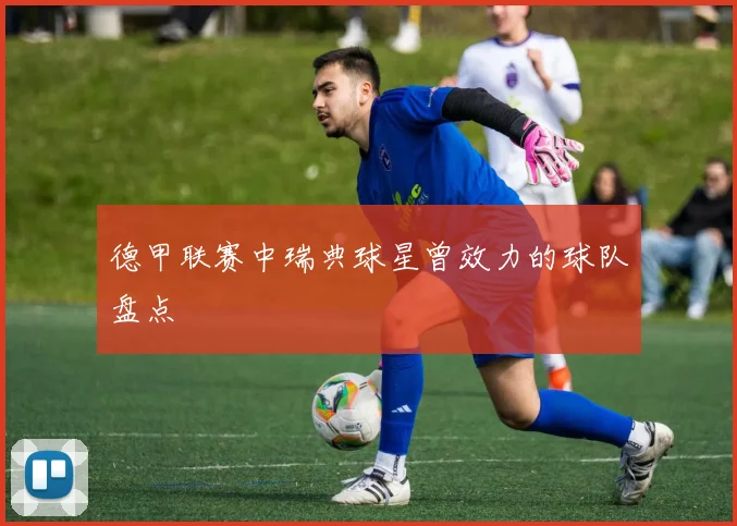 德甲联赛中瑞典球星曾效力的球队盘点