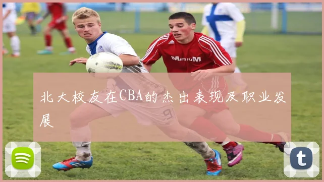 北大校友在CBA的杰出表现及职业发展
