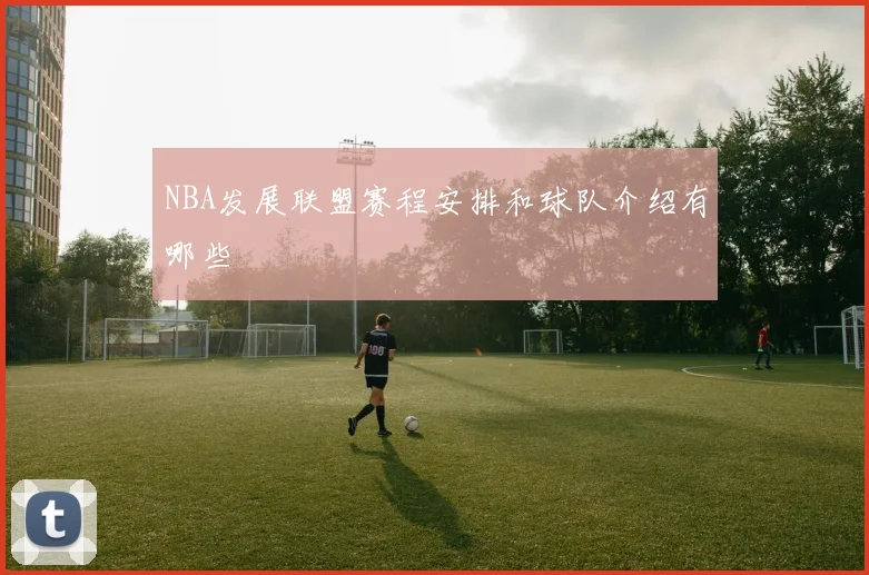 NBA发展联盟赛程安排和球队介绍有哪些