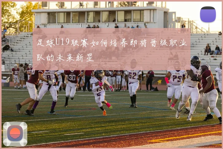 足球U19联赛如何培养即将晋级职业队的未来新星