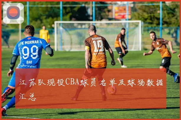 江苏队现役CBA球员名单及球场数据汇总