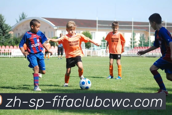 世界杯平台平台生态图